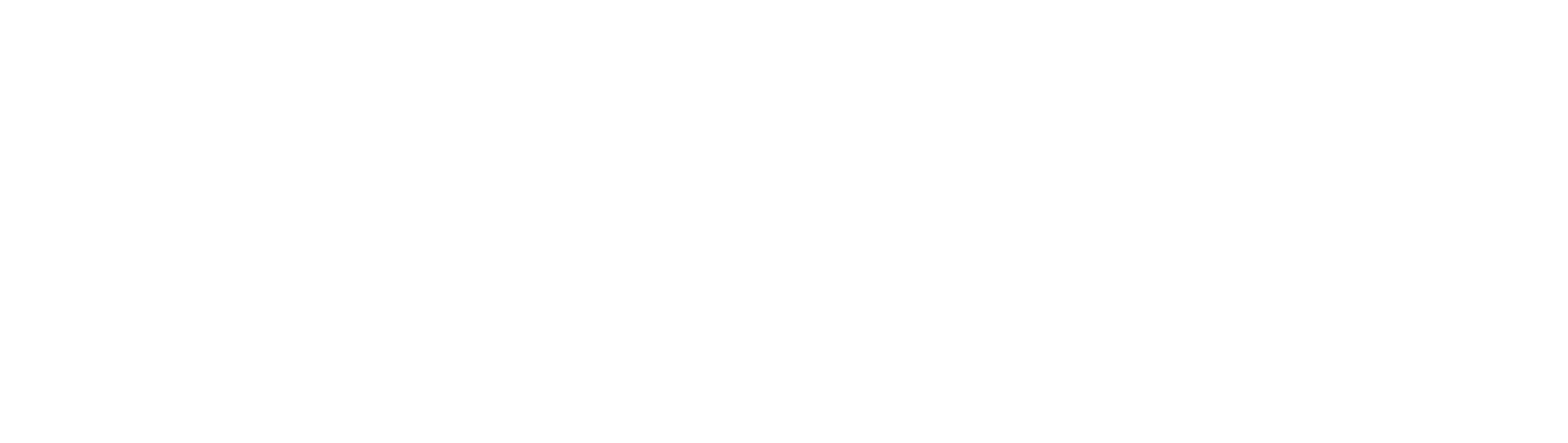 Sea-Jet Logo